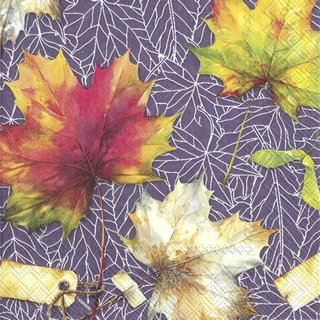 C Serviette Coutry Leaves lilac