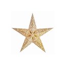Starlightz Stern M raja gold